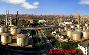 ʯ�ͻ����(l��i)�I(y��)��(j��)